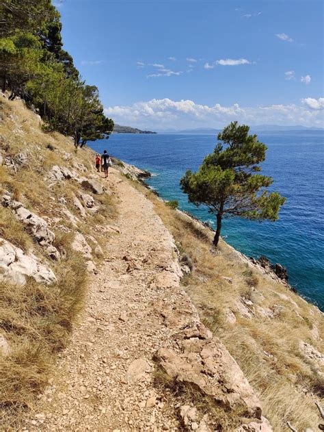 Osejava Forest Park, Split